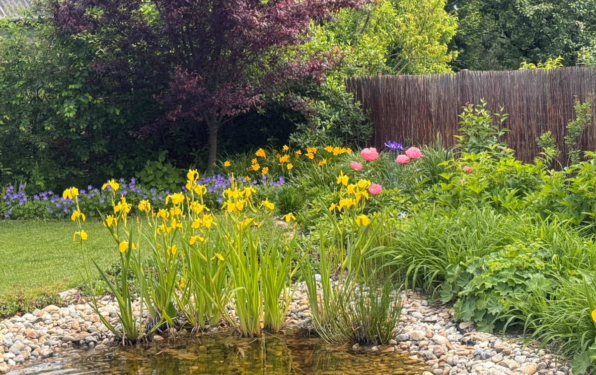 "Hiszem, hogy a kert akkor lesz igazán otthonos, ha tükrözi a benne élők életét..." Kerttervezőként és kertépítőként Zala, Vas és Somogy megyében dolgozom.